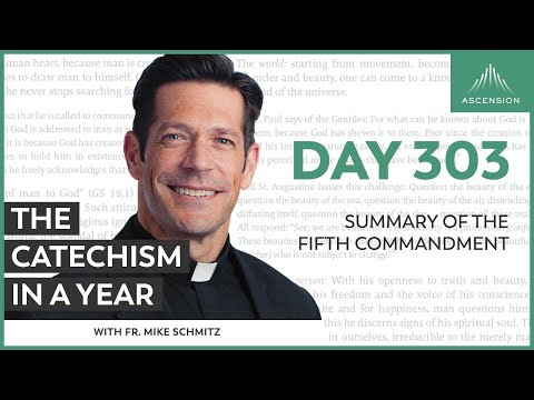Day 303: Summary of the Fifth Commandment — The Catechism in a Year (with Fr. Mike Schmitz)