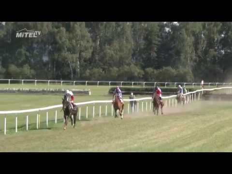 Dostihový meeting Mimoň 26.07.2015 - Záznam dostihů