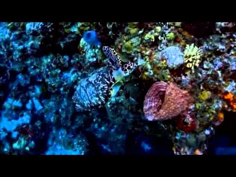 Dj Petroff feat Dinara  -  Как облака (SoundOfHeart Video Version)