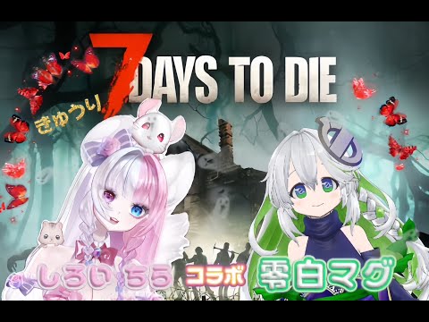 まぐちゃんといく!7days #3