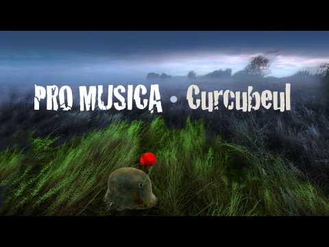 PRO MUSICA - Curcubeul