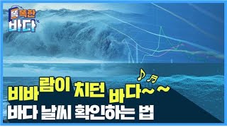 바다 위의 날씨, 어떻게 알 수 있을까? 지금까지 생소했던 해양 관측에 대해 알려드립니다! [똑똑한 바다]