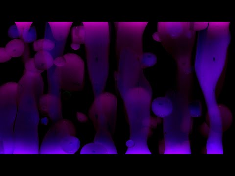 MBommeli and MB's Relax Base