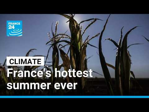 France announces €1 billion aid for farmers after climate-hit summer