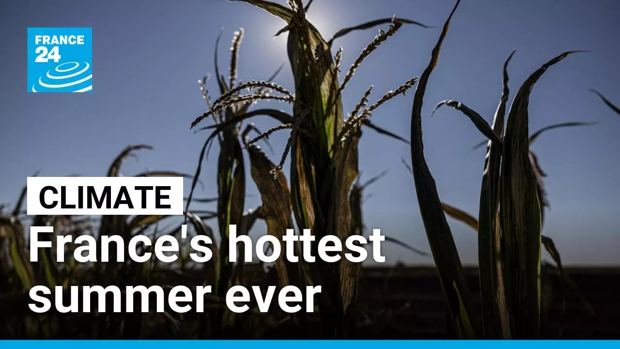 France announces €1 billion aid for farmers after climate-hit summer • FRANCE 24 English