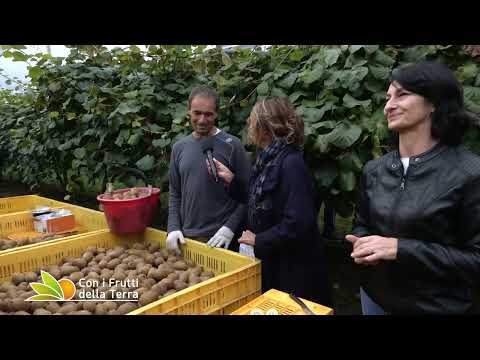 Episode of 04/12/22 - Part 1