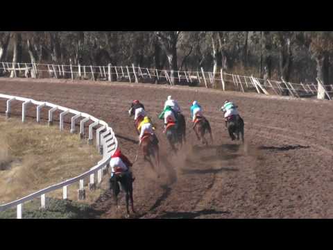 Vasquito - Neuquén 9 de julio