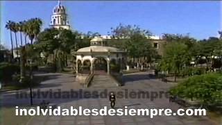 Pedro Fernández - Mi Forma De Sentir (Video Oficial)