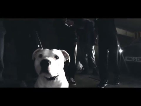 Younganz Fusion - The Ride [Music Video] @YounganzFusion