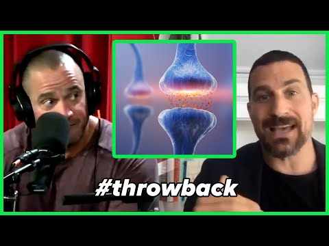 Use Your Mind to Control Dopamine & Serotonin | #throwback