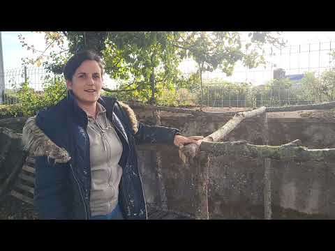 La Roseraie - Our French Adventure - Making a nearly free wood store 🪵 😌 🤪