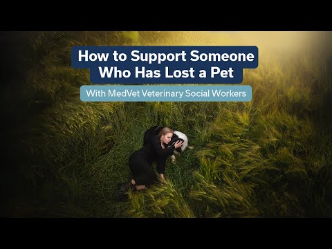 How to Support Someone Who Has Lost a Pet | Guidance from MedVet Veterinary Social Workers