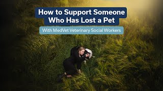 How to Support Someone Who Has Lost a Pet | Guidance from MedVet Veterinary Social Workers