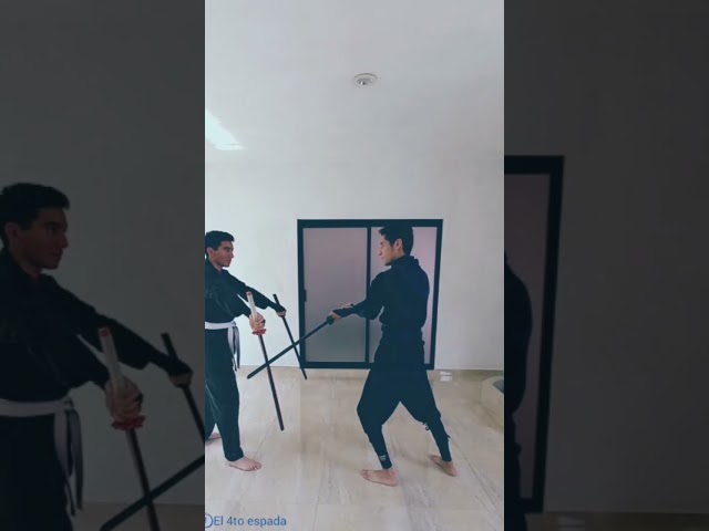 Vídeo relacionado con Bolsa De Espada Multifution Bolsa De Transporte Gruesa De Una Sola Capa para El Hombro Paquete De Almacenamiento De Espadas De Artes Marciales Chinas, Black, 109cm