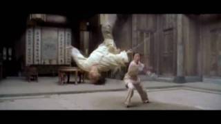 Crouching Tiger, Hidden Dragon (2000) Video