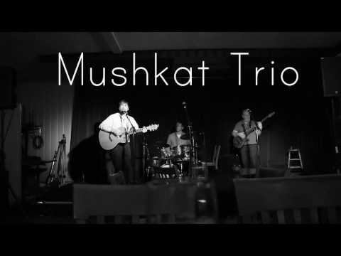 Mushkat Trio - The Arrival (The Union Street, 4 November 2016)