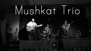 Mushkat Trio - The Arrival (The Union Street, 4 November 2016)