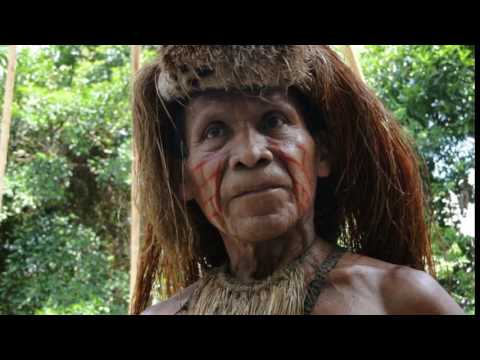 Die Weisheit Salomos - Prediger 6 von 12