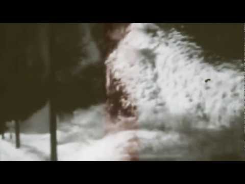 Strydwolf - Kriegerseele