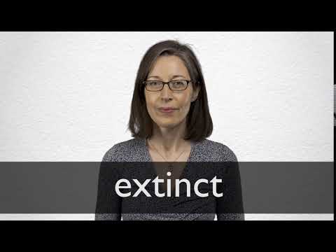 Extinct का हिन्दी अनुवाद | कोलिन्स अंग्रेज़ी-हिन्दी शब्दकोश