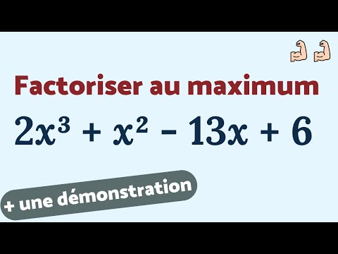 FACTORISER au maximum 2x³ + x² - 13x + 6