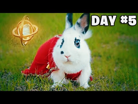Epische Kaninchen-Fantasy [Video aus YouTube]
