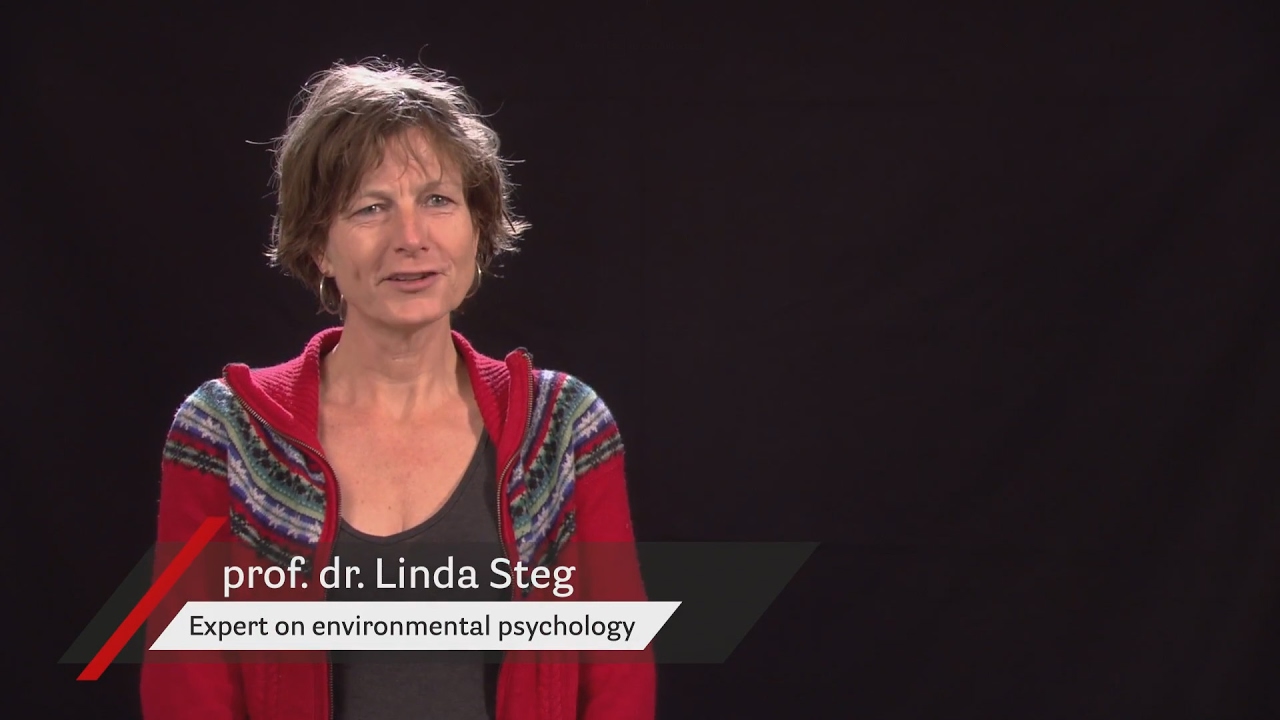 Linda Steg over energietransitie