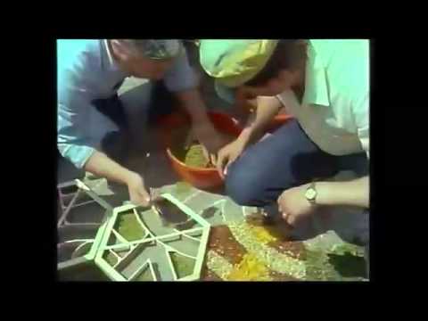 Poggio Moiano anni '80