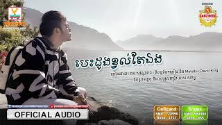 បេះដូងខ្វល់តែឯង - ឆន សុវណ្ណារាជ [OFFICIAL AUDIO] #RHM