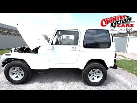 1989 Jeep Wrangler (CC-1436851) for sale in Staunton, Illinois