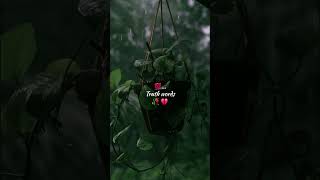 Download lagu 🥀 Terkadang, hati tetap berada di tempat di mana kehidupan telah berlalu.🖤 Dan yang tersisa di hati hanyalah… mp3
