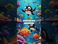The Secret Behind Pingu S Unique Language