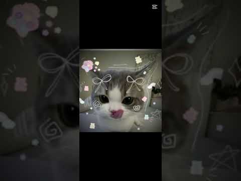 In Love with these cuties 🎀😩