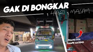 🔴MUAT PISANG KE PASAR JOGJA..!! GAK DI BONGKAR 1 HARI 1 MALAM