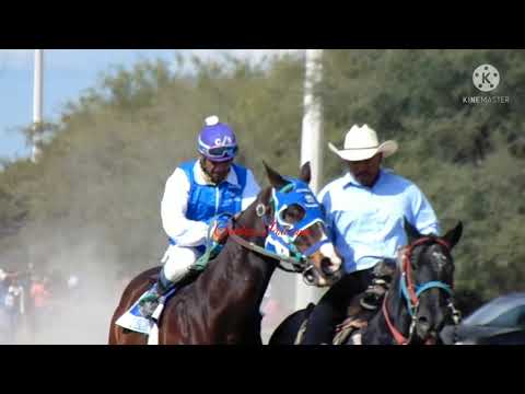 EL ATREVIDO Cuadra: Zavala Vs EL TEQUILA Cuadra: Sanchez