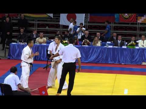 Toshihide Iwasawa (Japan) v Evgeni Mamro (Russia) Men's -70kg Kyokushin Knockdown FINAL
