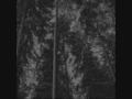 Vaakevandring - UNBLACK/FOLK METAL - Fader ...