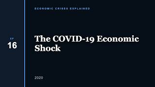 The COVID-19 Economic Shock