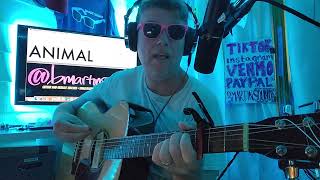 ANIMAL - KATSEYE // GUITAR TUTORIAL (BEGINNER LESSON)