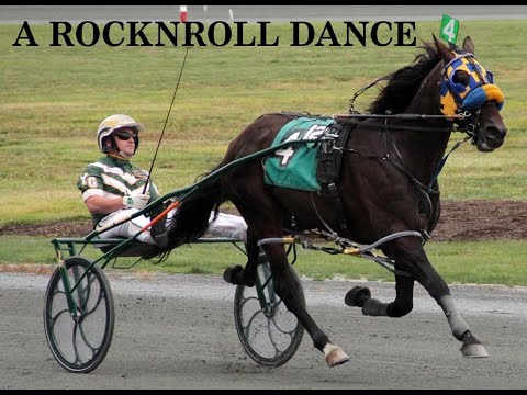 DRF Harness - Meadowlands Racing - November 24th, 2018