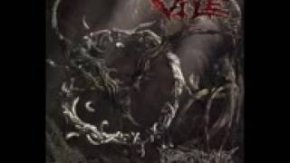 Vile - butchered