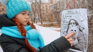 ПРОПАЛА СОБАКА!!! ПОМОГИТЕ НАЙТИ!!!