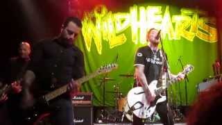 The Wildhearts - 29X The Pain @ The Gramercy 5-31-13