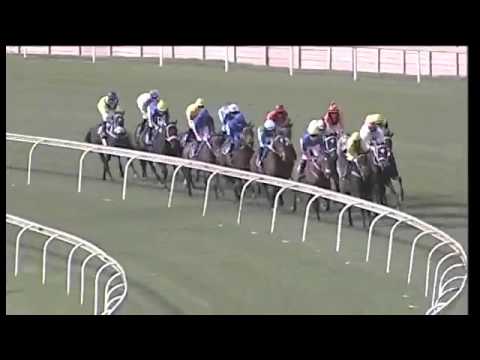 2016.04.30 Gerald Rosenberg Stakes (RSA) - Trophy Wife