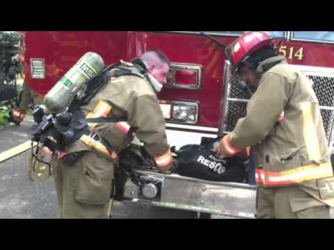 Cat Revived with Oxygen Mask