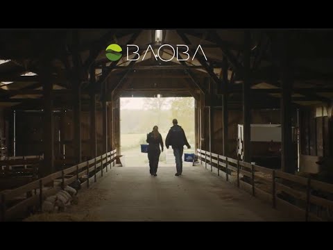 BAOBA video thumbnail