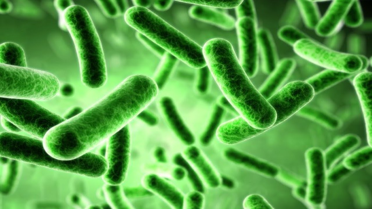 Science Documentary: Antibiotic Resistance