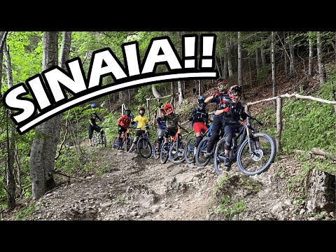 🔥SINAIA ALL DAY!! (follow cam only)🔥