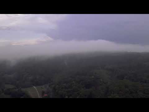 Zbor deasupra padurii de pe Valea Radestiului, dupa ploaie.