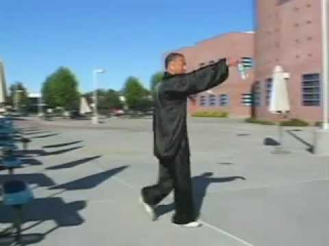 Taiji Warmup (Chinese)